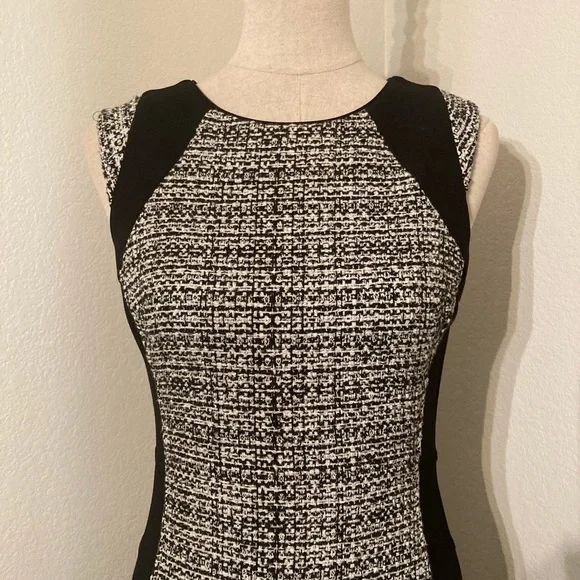 COPY - White House | Black Market Sleeveless Dress (4) - Picture 4 of 8